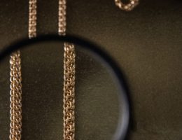 Närbild på ett bismarckarmband sett genom ett förstoringsglas mot en mörk bakgrund.
